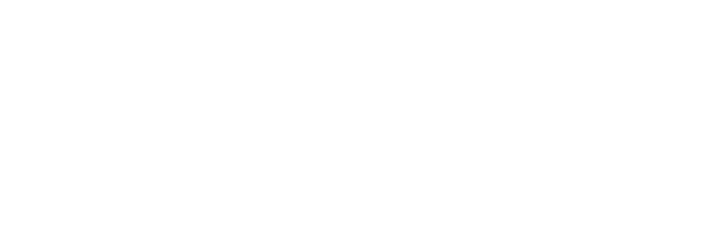 Twin Mirror Logo